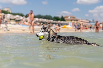 Club del Sole Le Mimose Family Resort