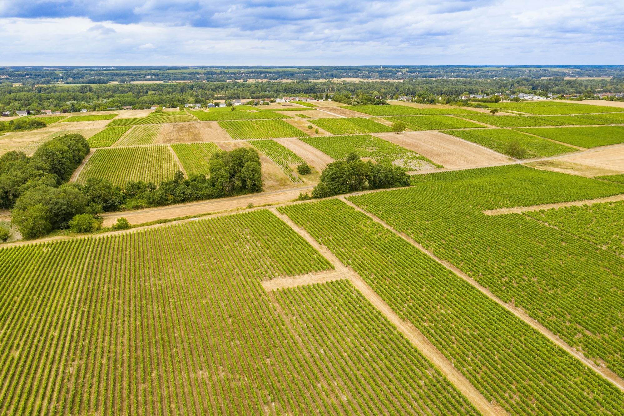 Camping de Montlouis-sur-Loire (Les Peupliers)