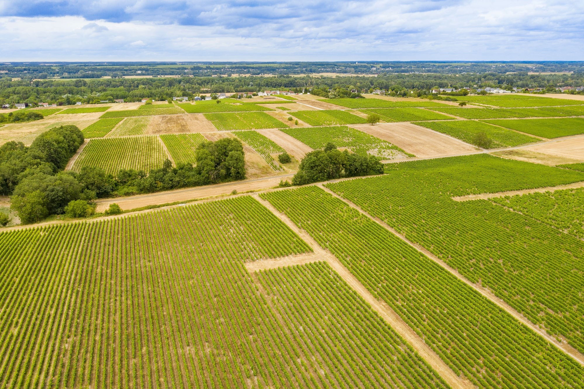 Camping de Montlouis-sur-Loire (Les Peupliers)