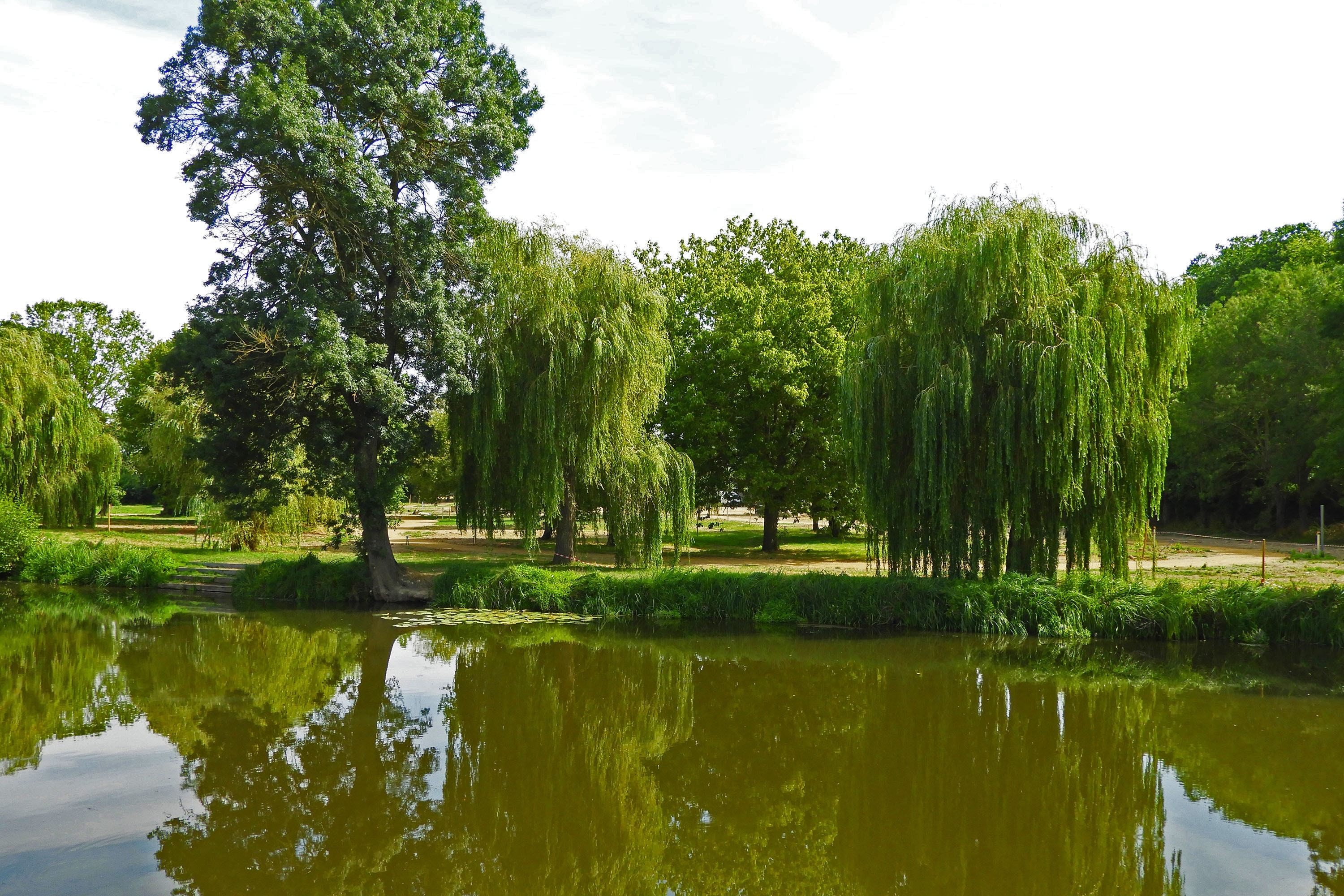 Camping du Lion d'Angers