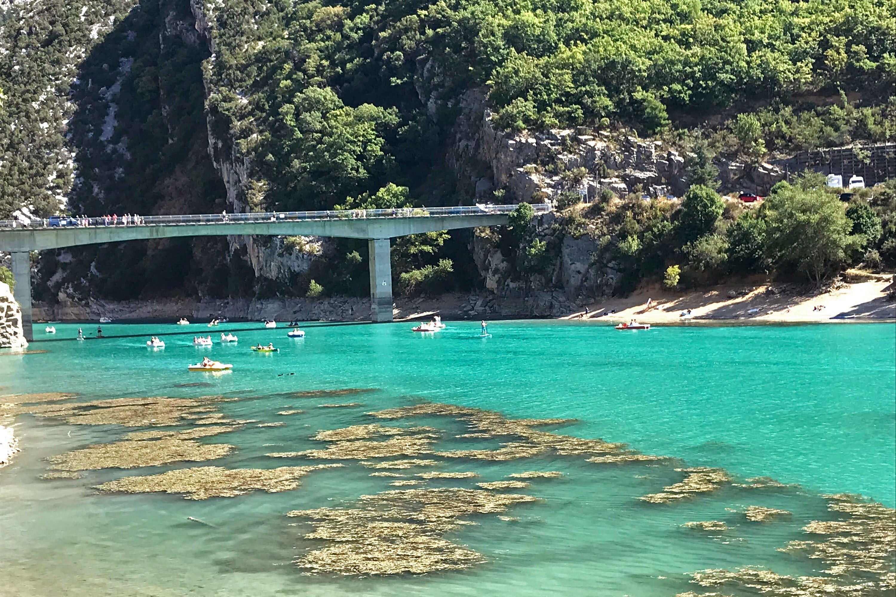 Flower Camping La Rivière