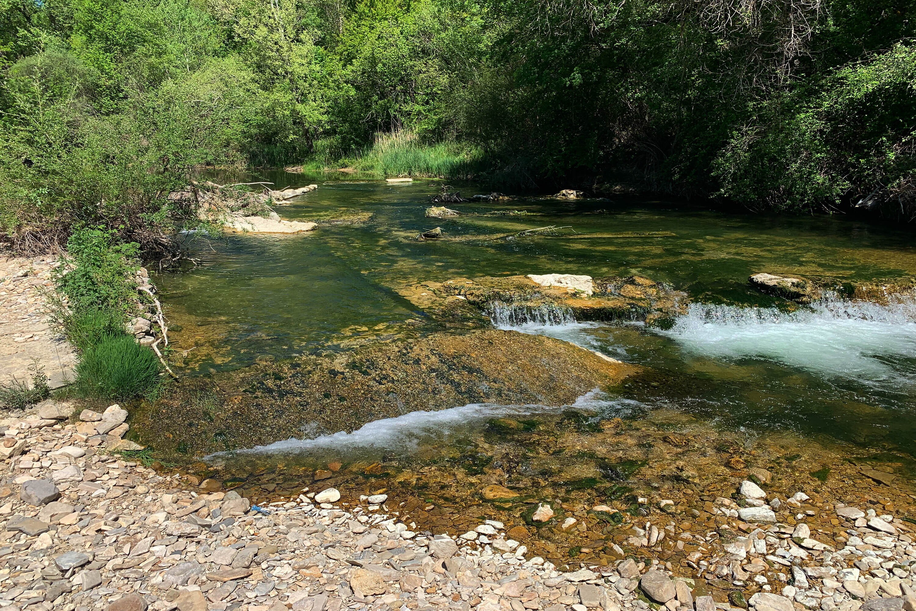 Flower Camping La Rivière