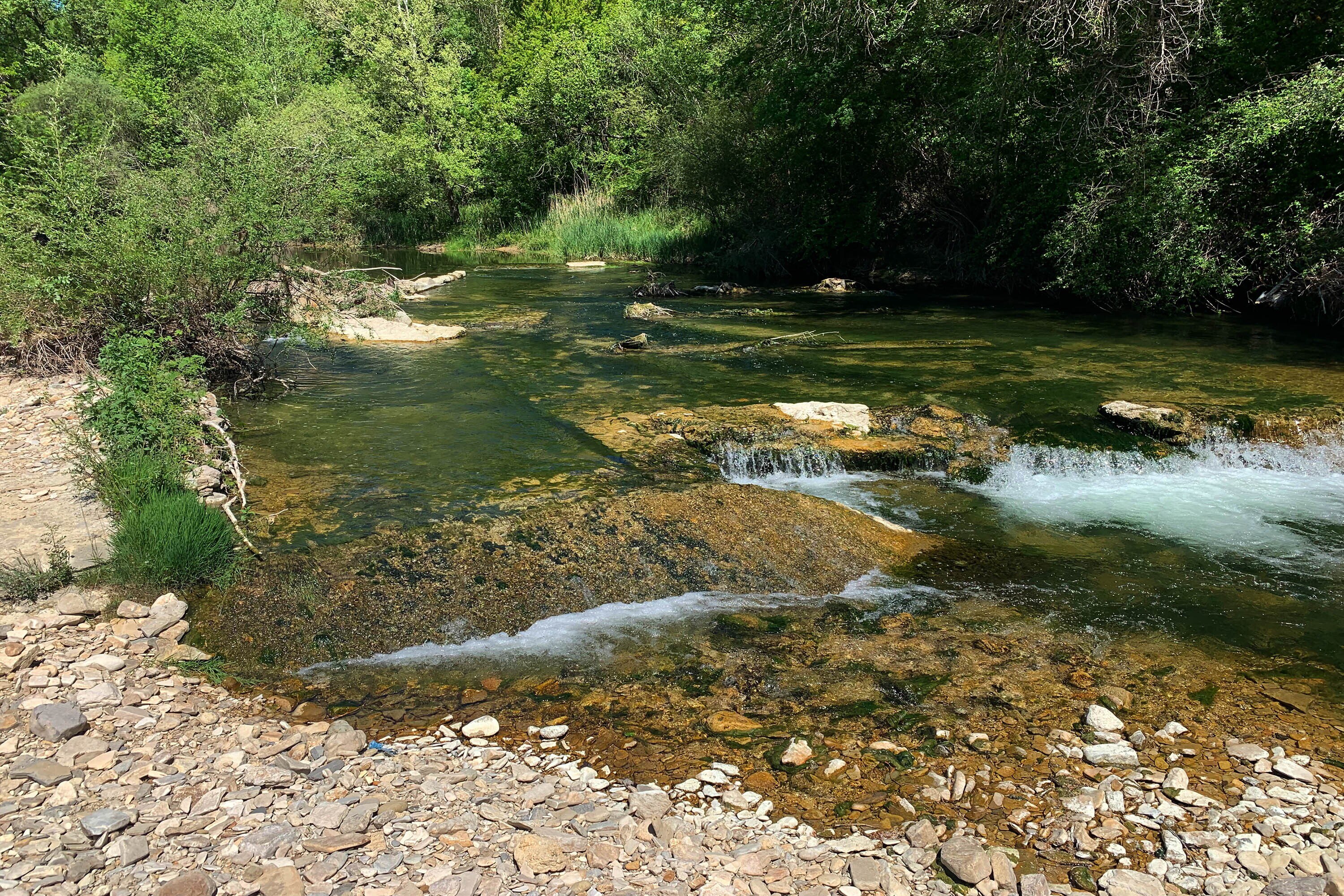 Flower Camping La Rivière