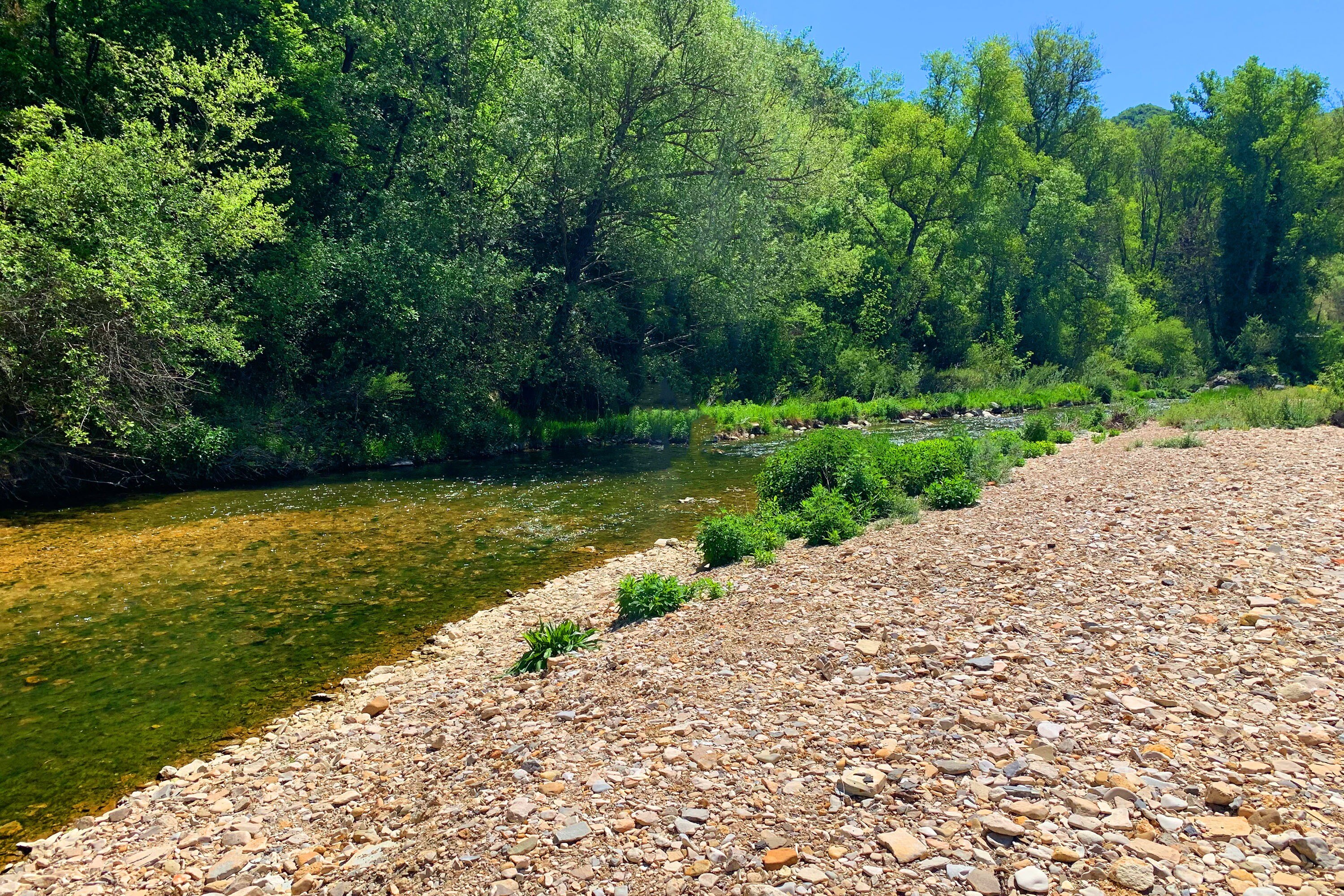 Flower Camping La Rivière