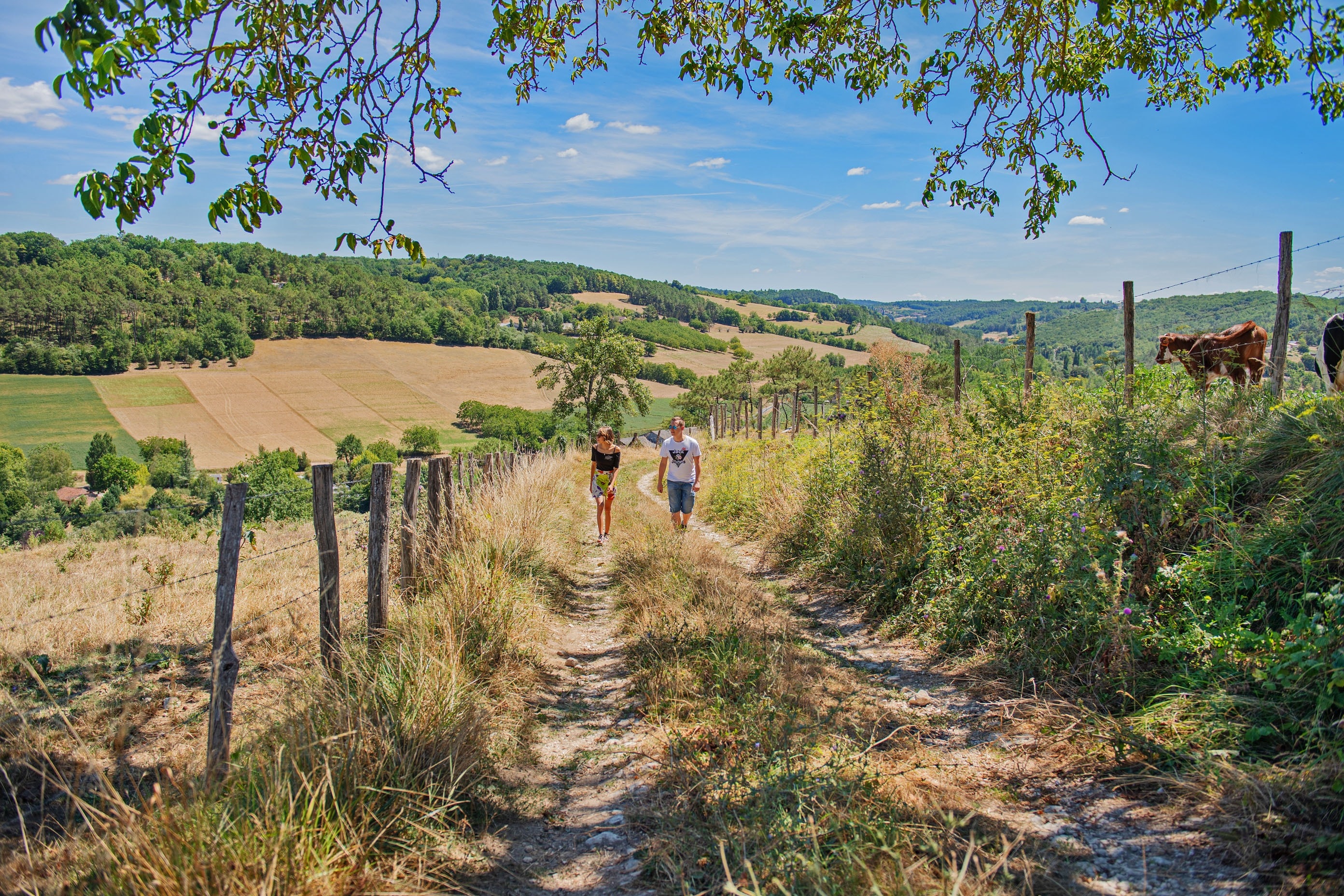 RCN le Moulin de la Pique