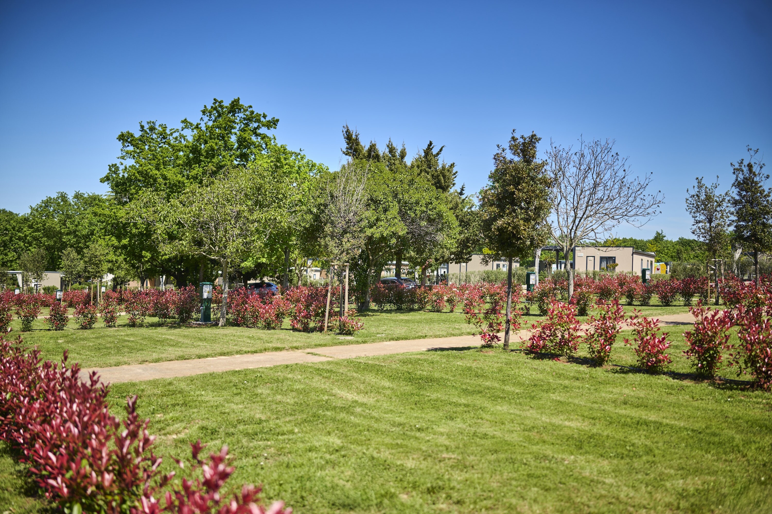 Camping Park Umag