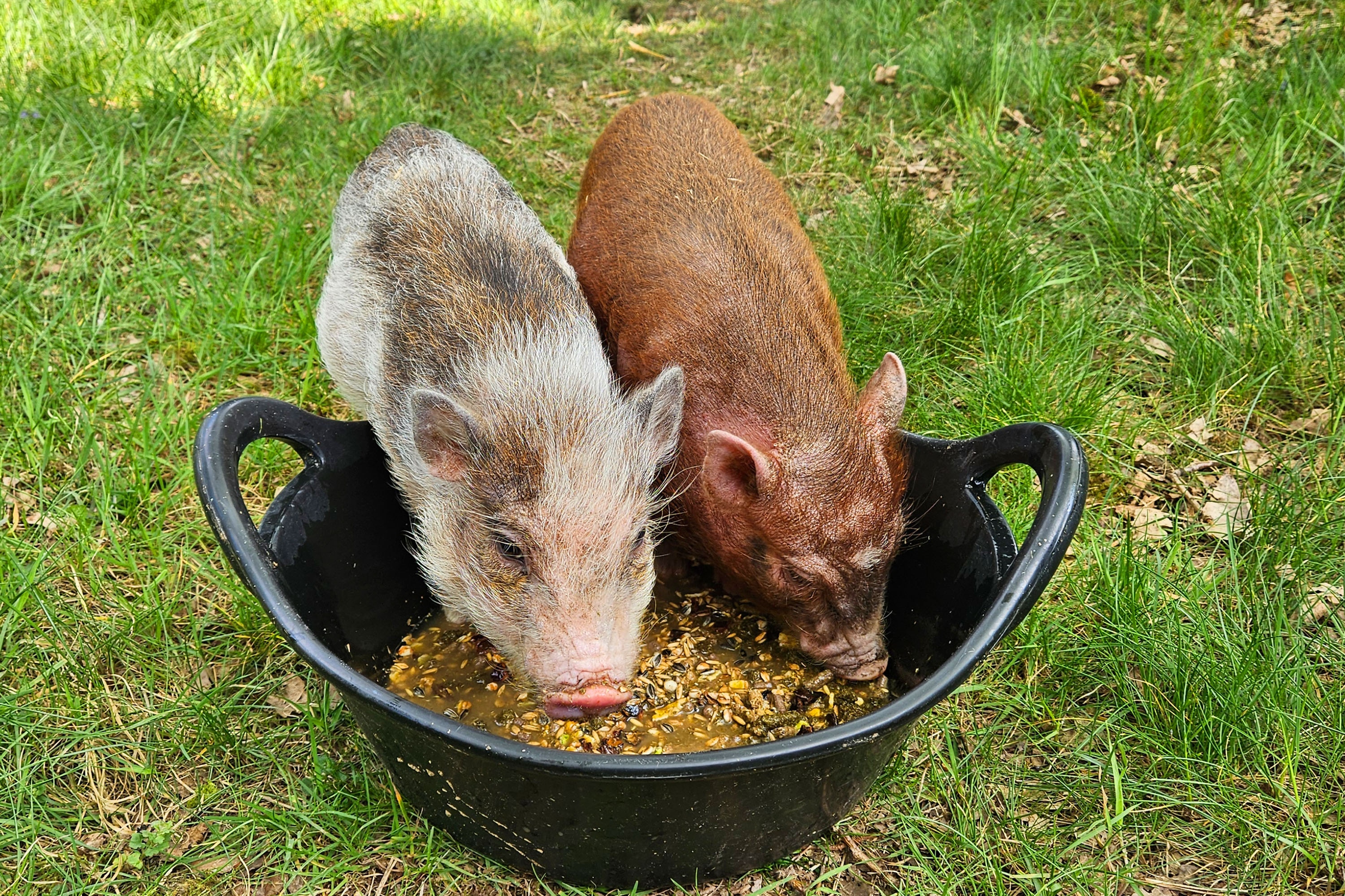 Camping Uit en Thuis