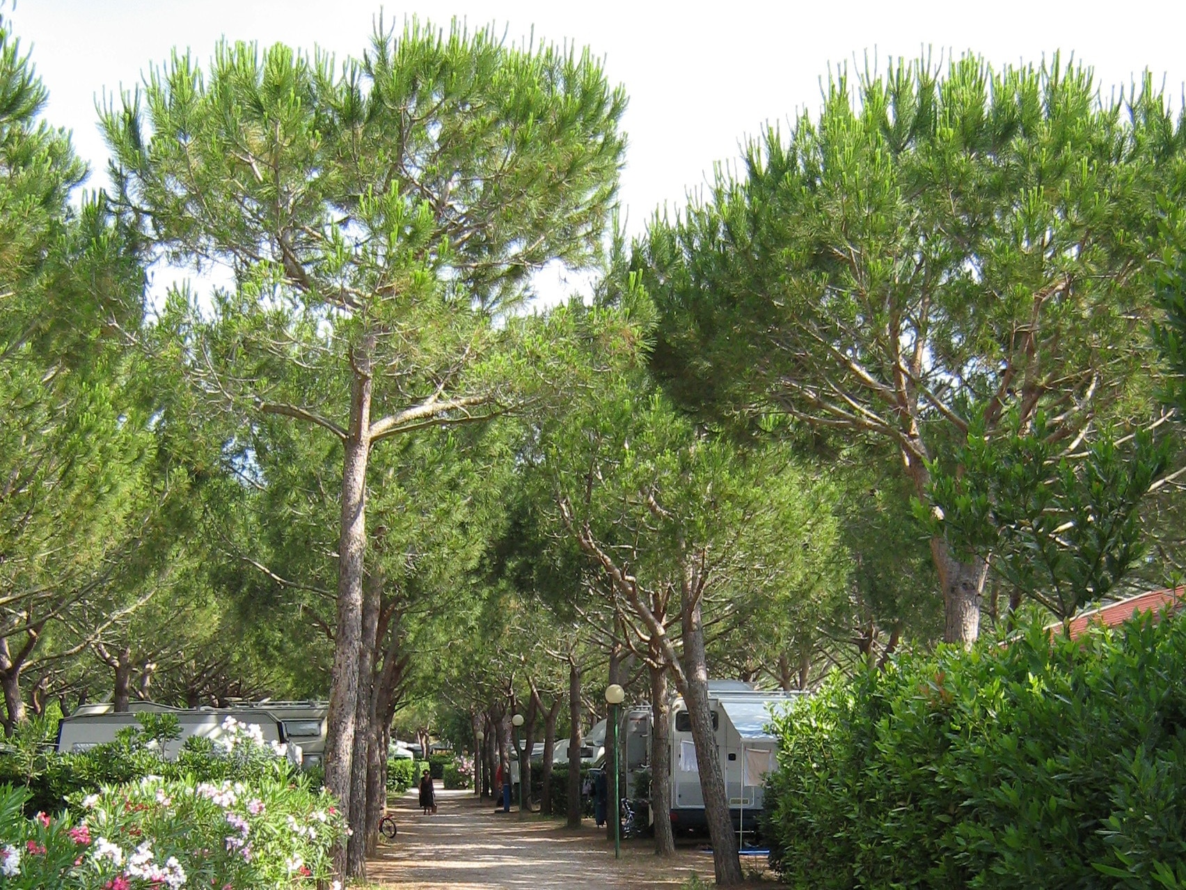 Club del Sole Stella del Mare Family Collection