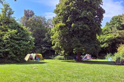 Natuurkampeerterrein Dasselaar