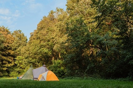 Natuurkampeerterrein Schoonenberg