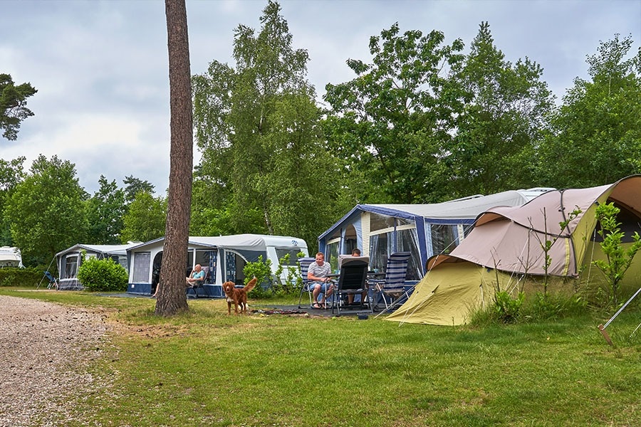 Camping Het Lierderholt