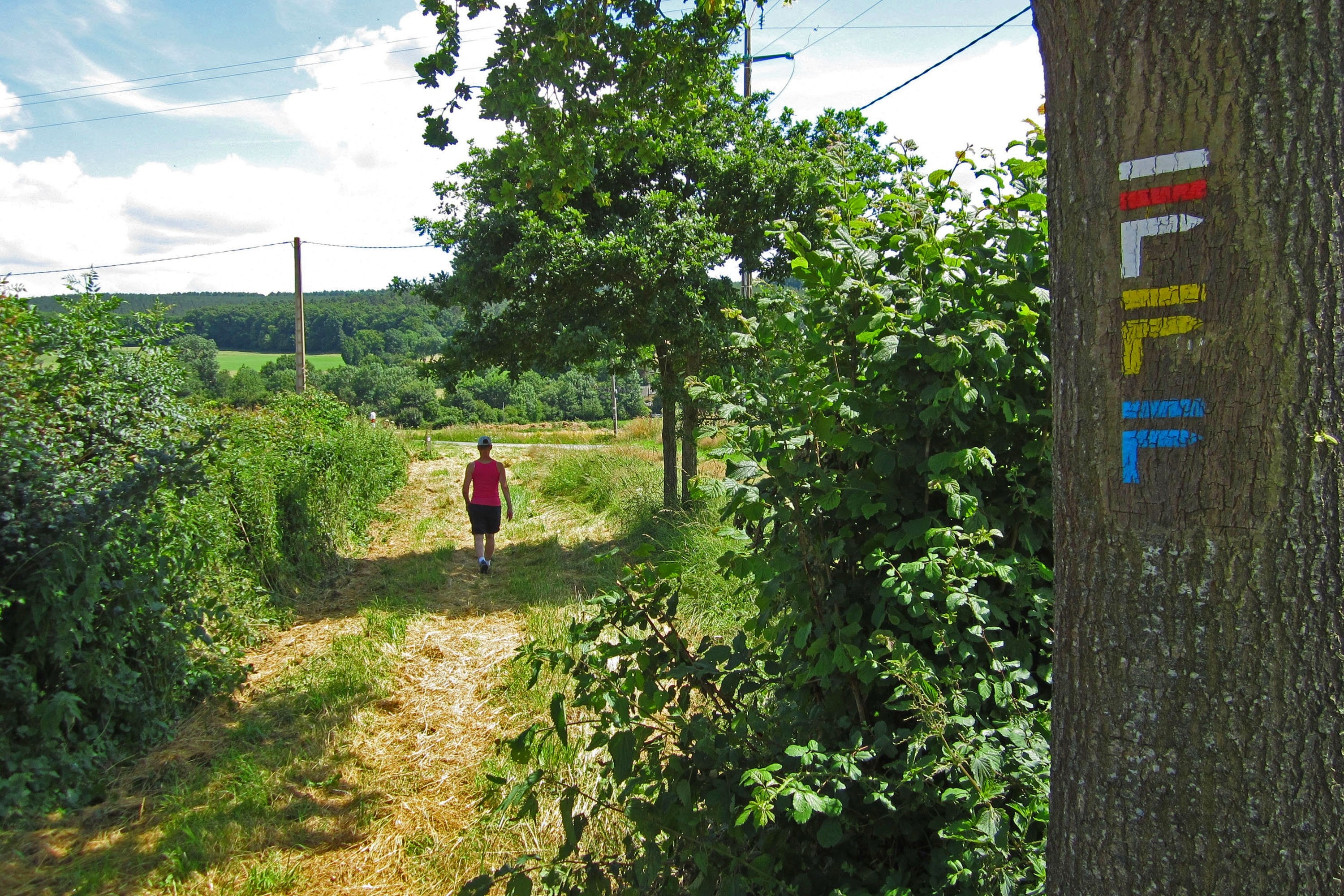 Camping Les Tournesols