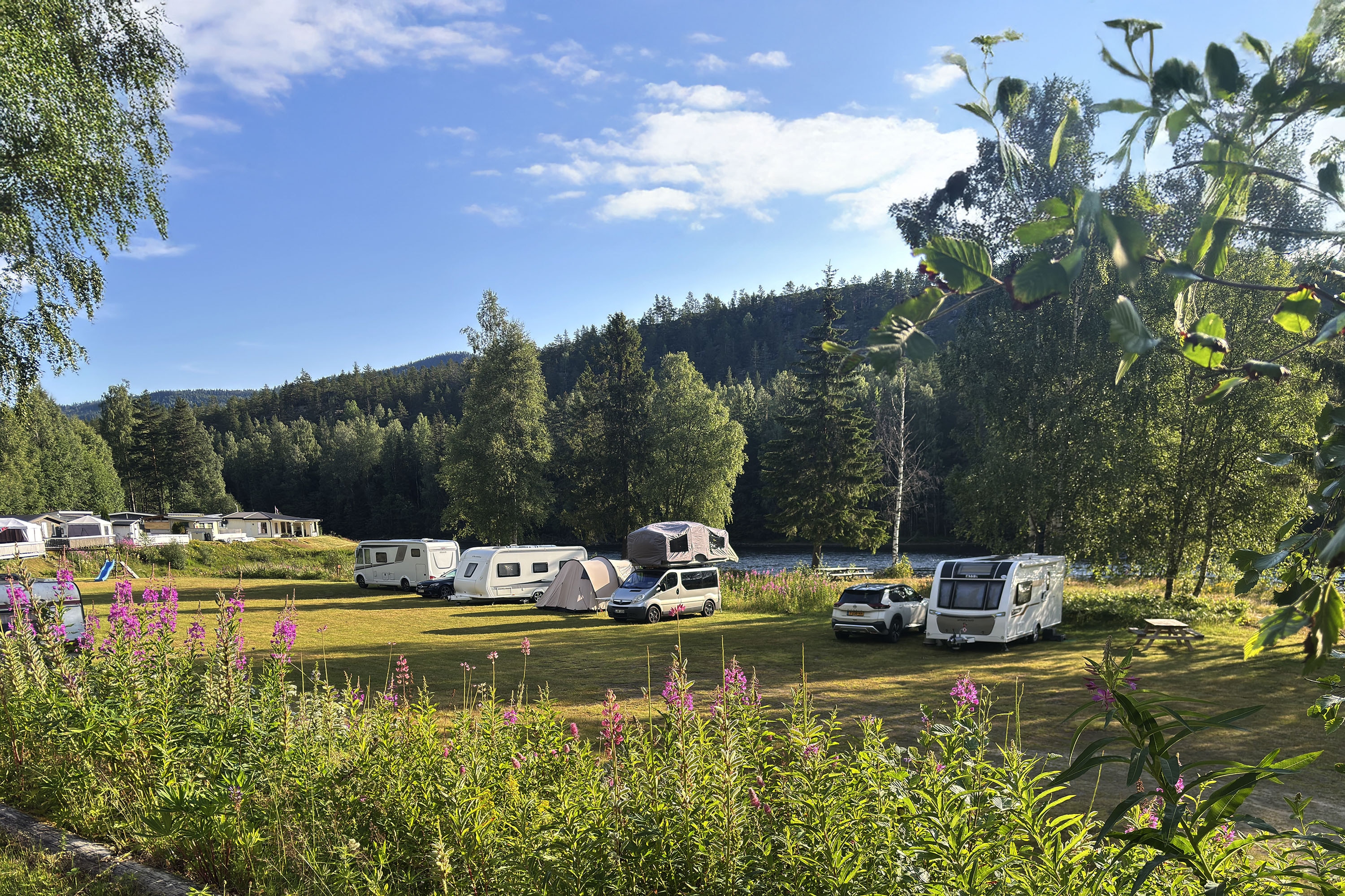Holman Camping