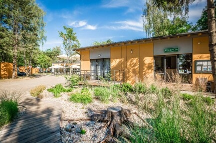 Camping Sopot Park 45