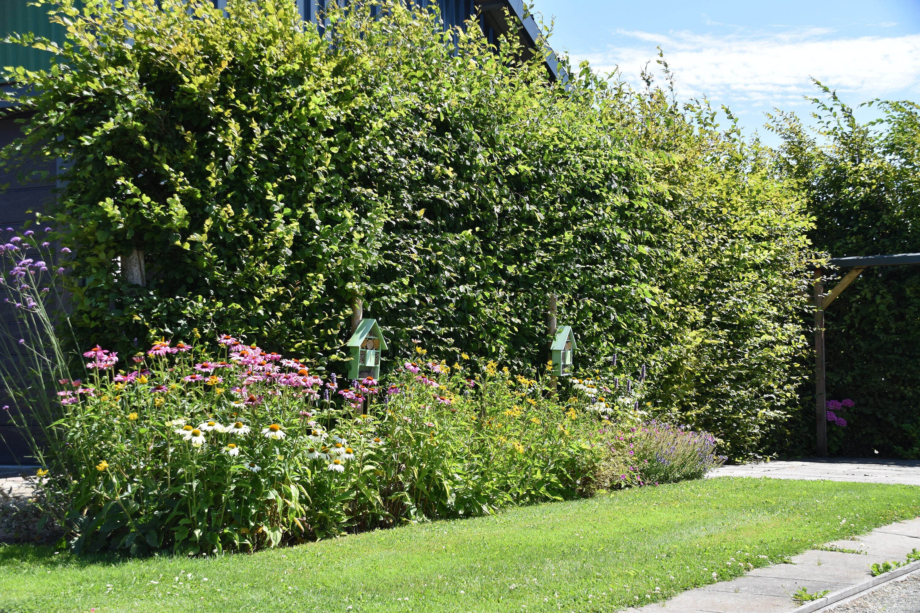 Camping het Stammeland