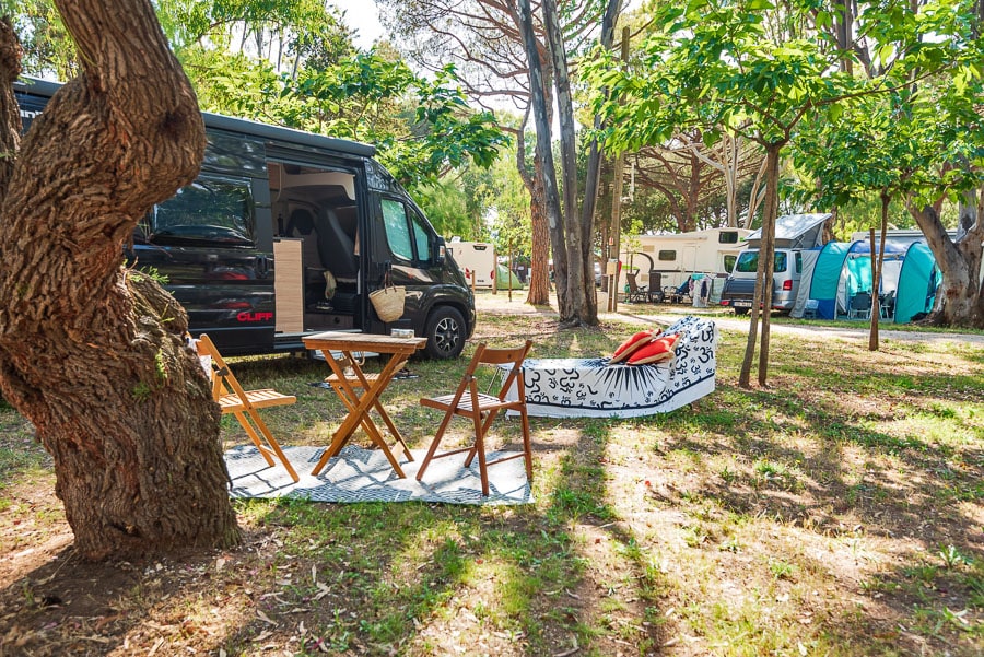 Domaine du Ceinturon III