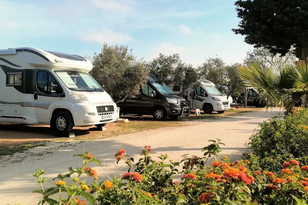 Camping Lilybeo Village