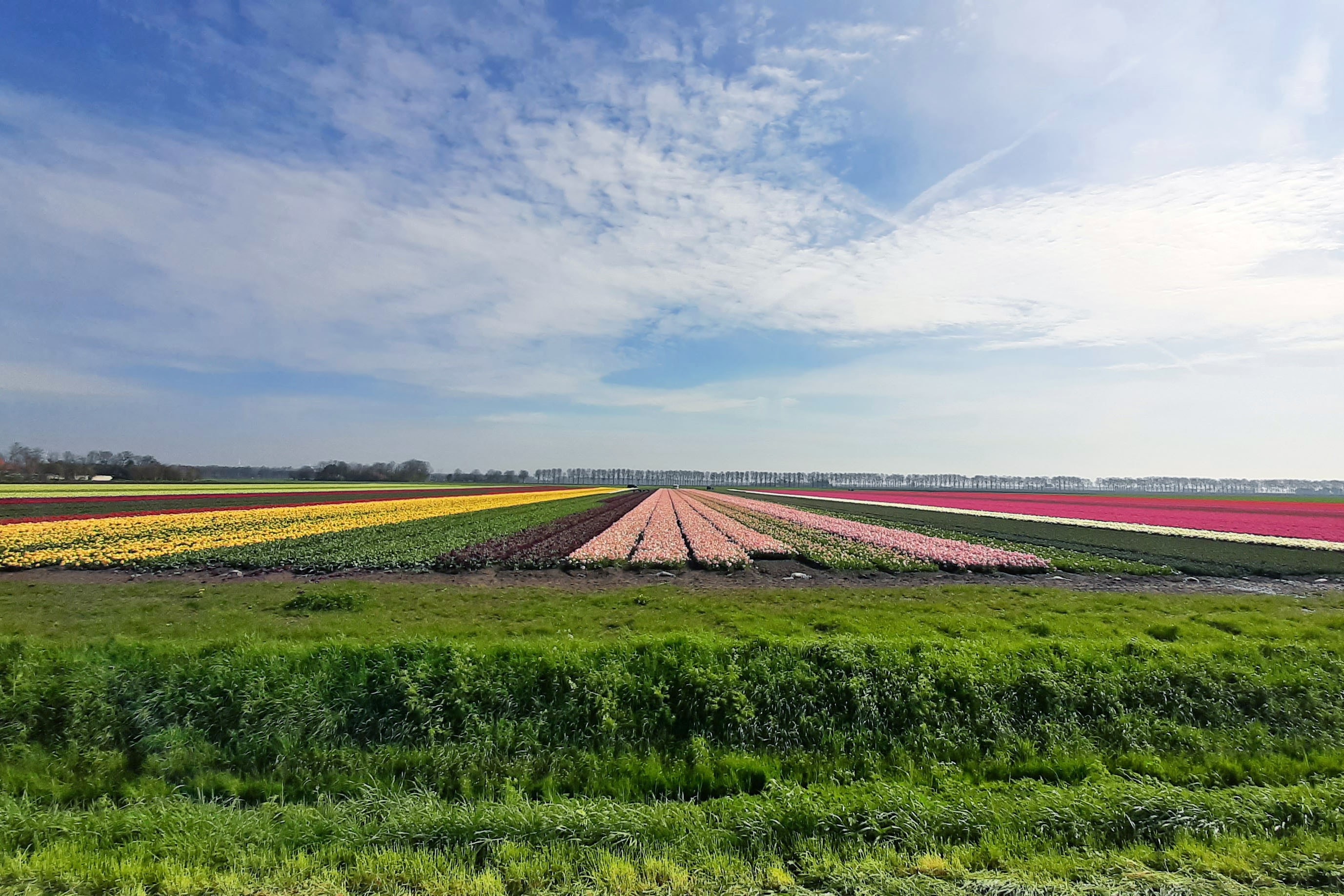 Buytenplaets Suydersee