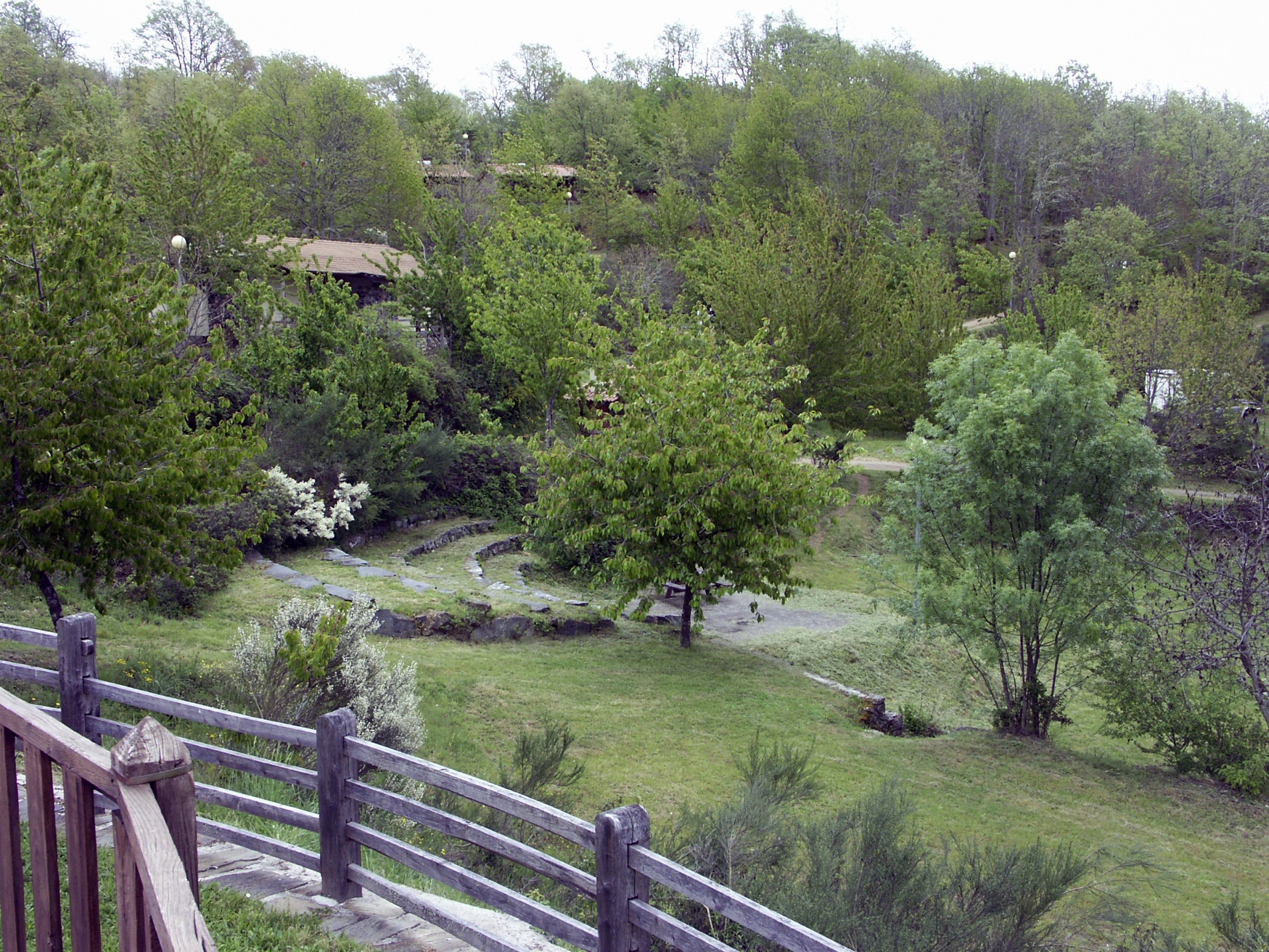 Cepo Verde