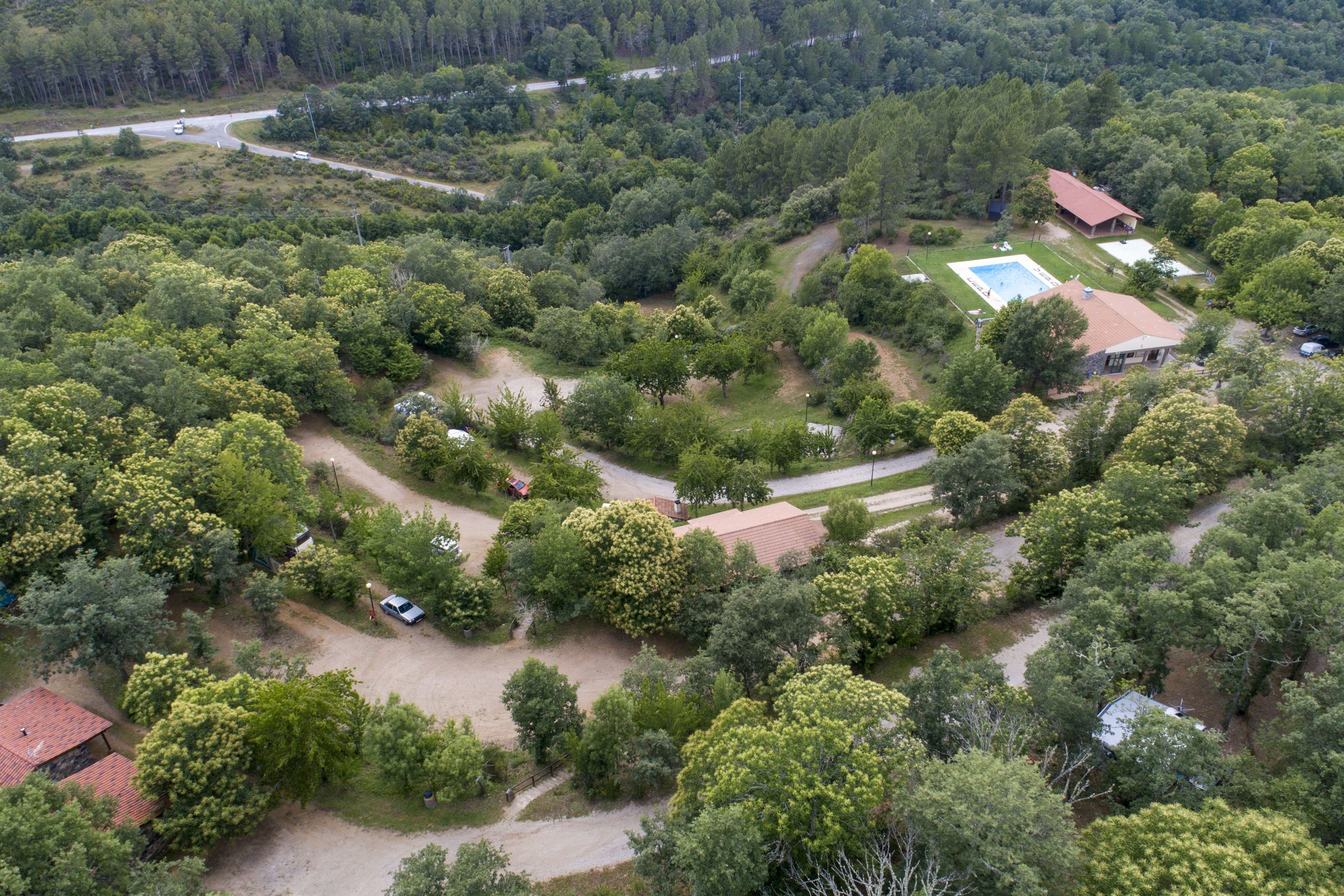 Cepo Verde