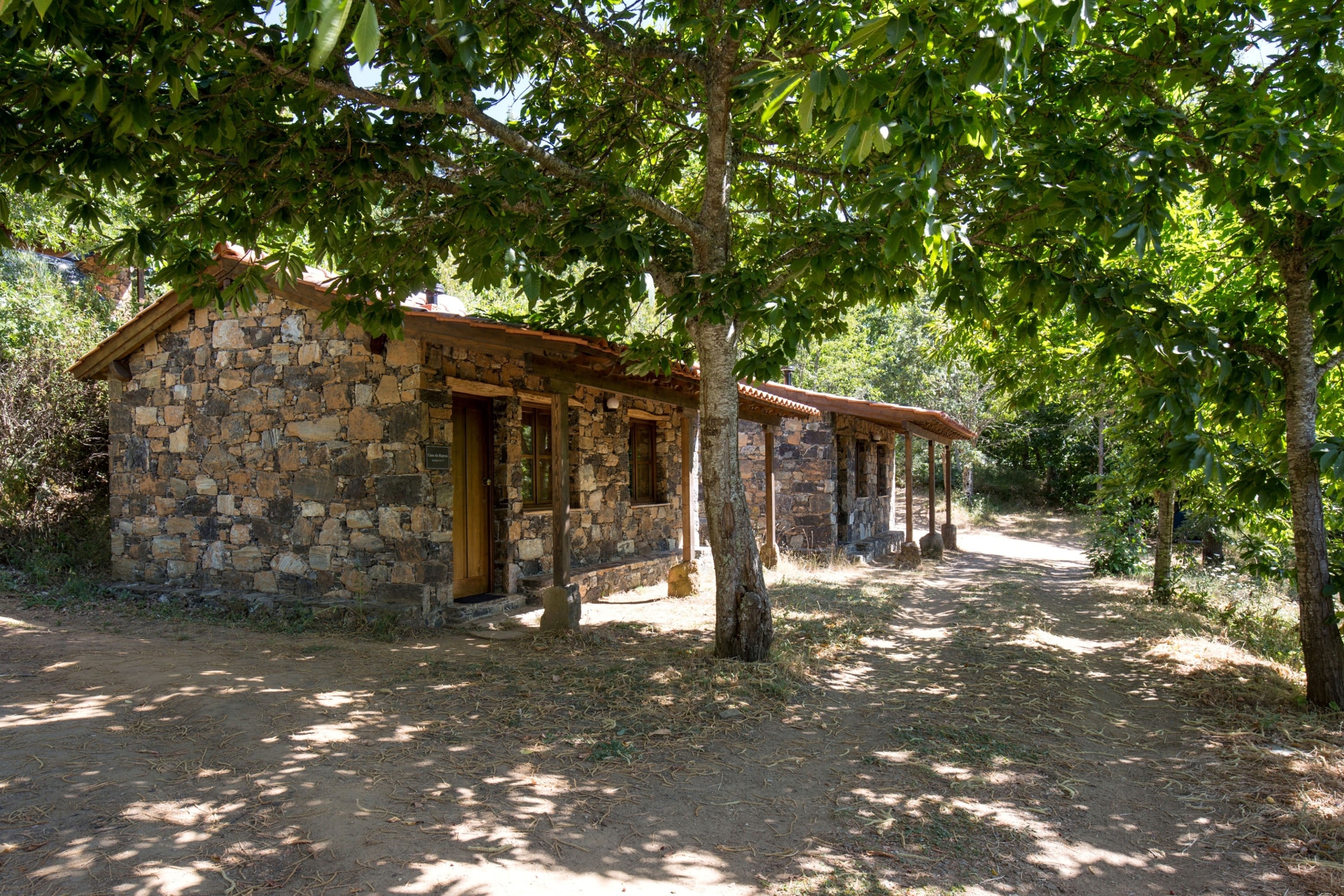 Cepo Verde