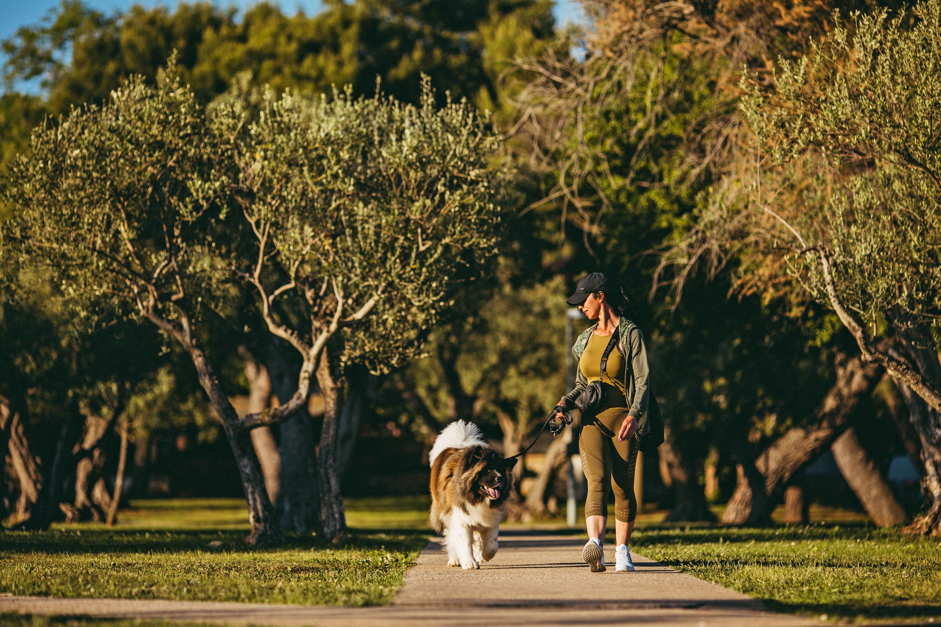 Campsite Koversada Covered