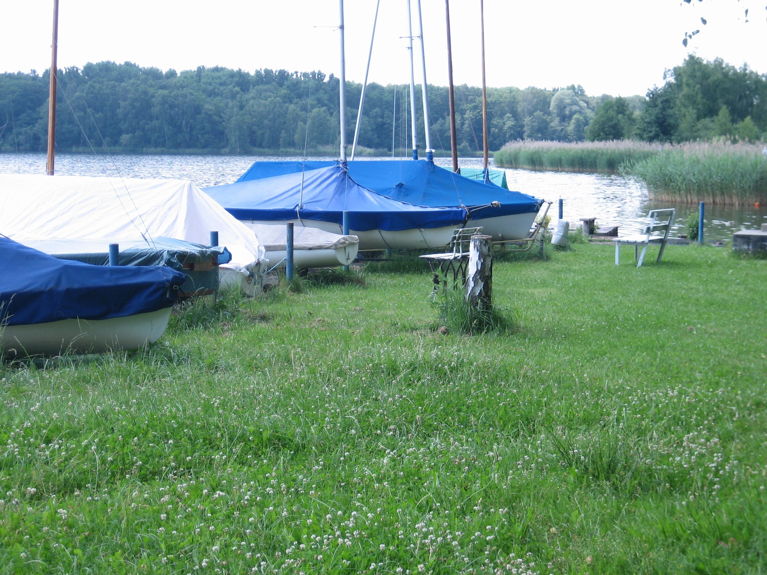 Bergwitzsee Resort