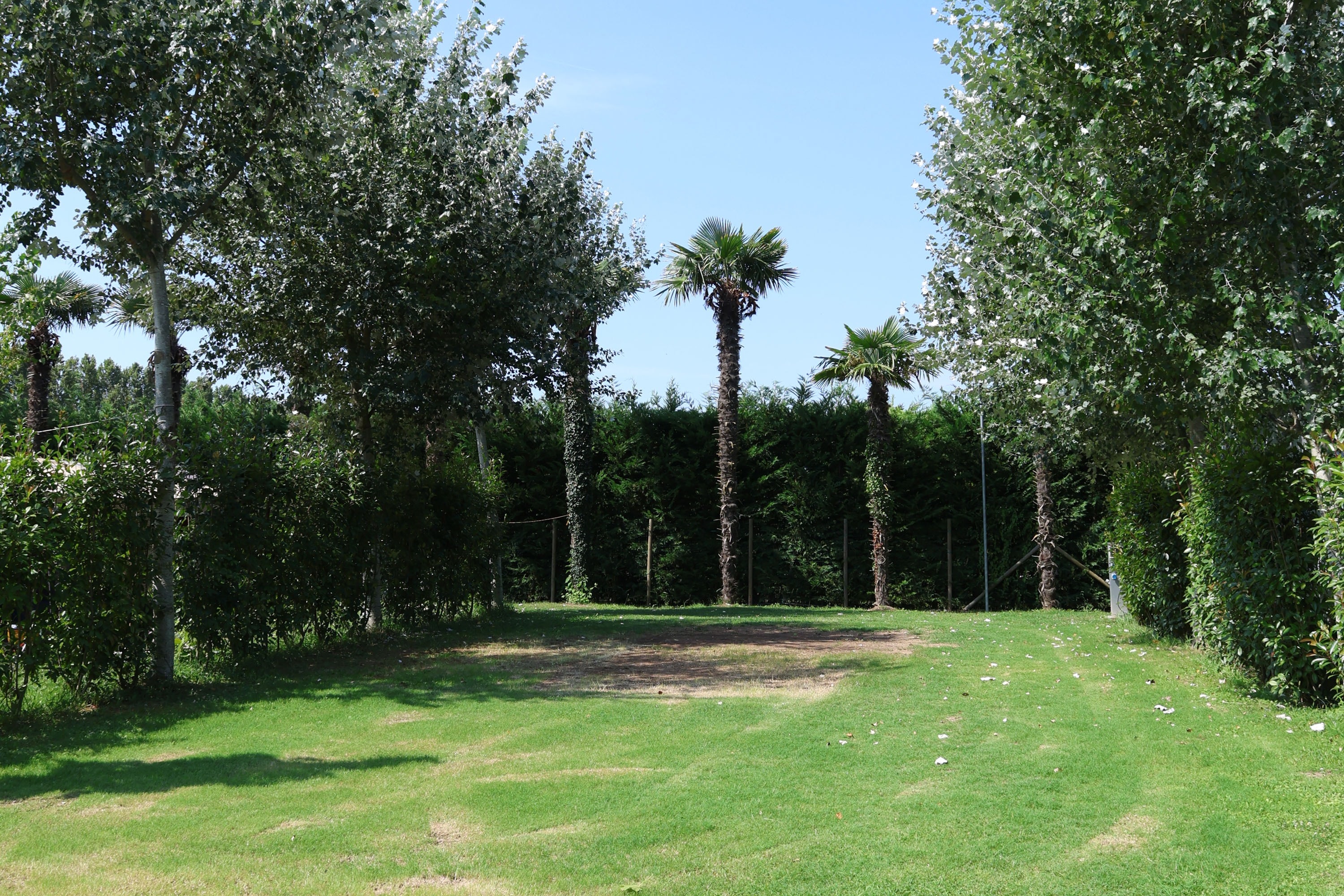 Agricampeggio Mose