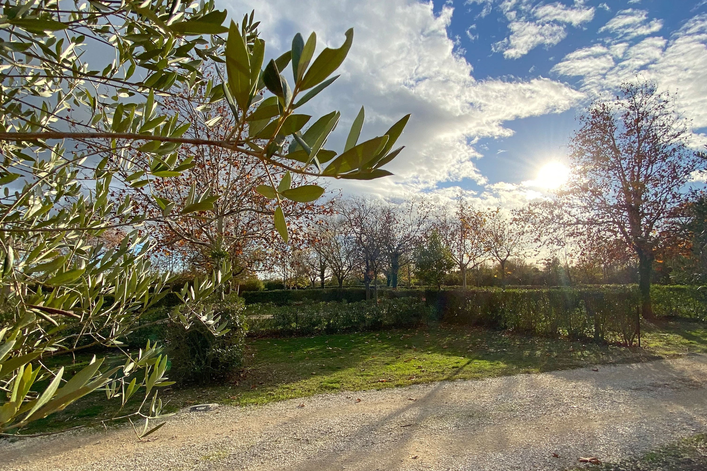 Camping L'Arlesienne