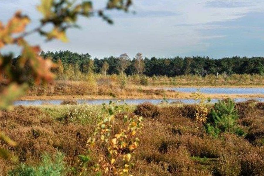 Camping De Rammelbeek