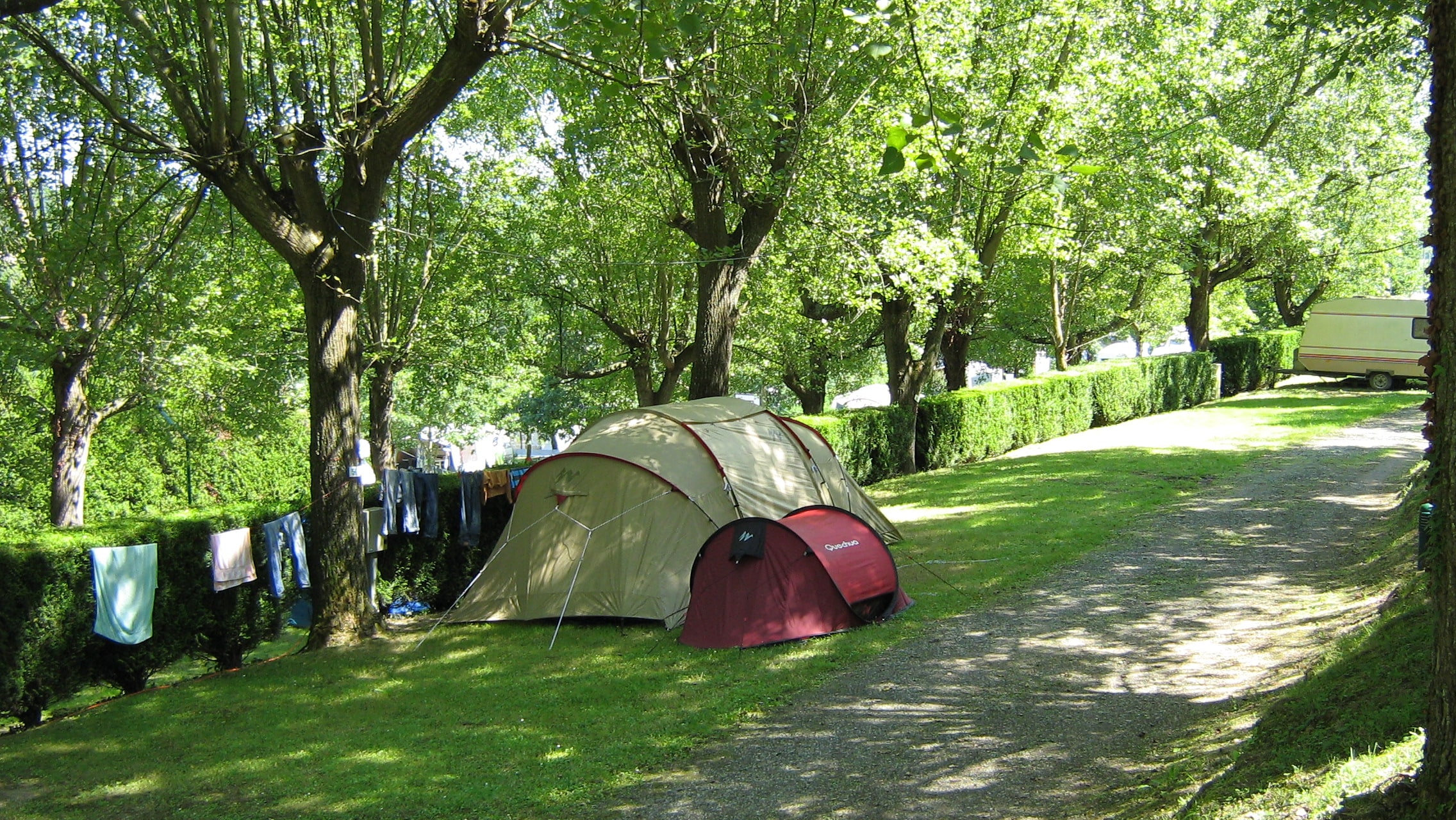 Camping Suhiberry