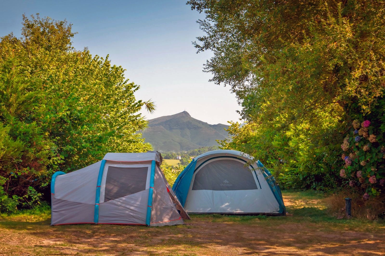 Camping Suhiberry