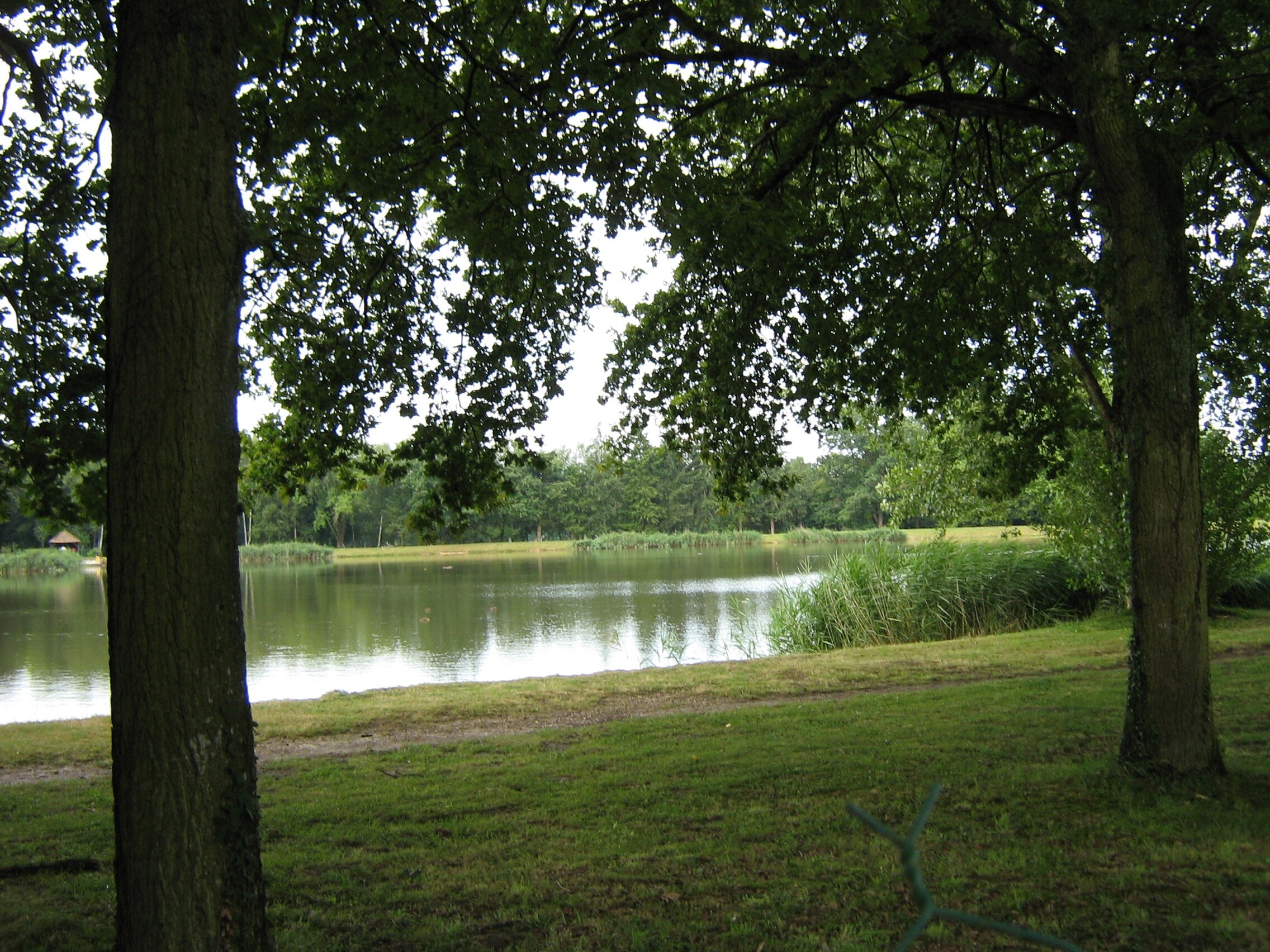 Camping Des Étangs