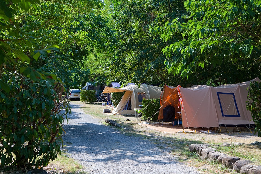 Pausado Ludo Camping