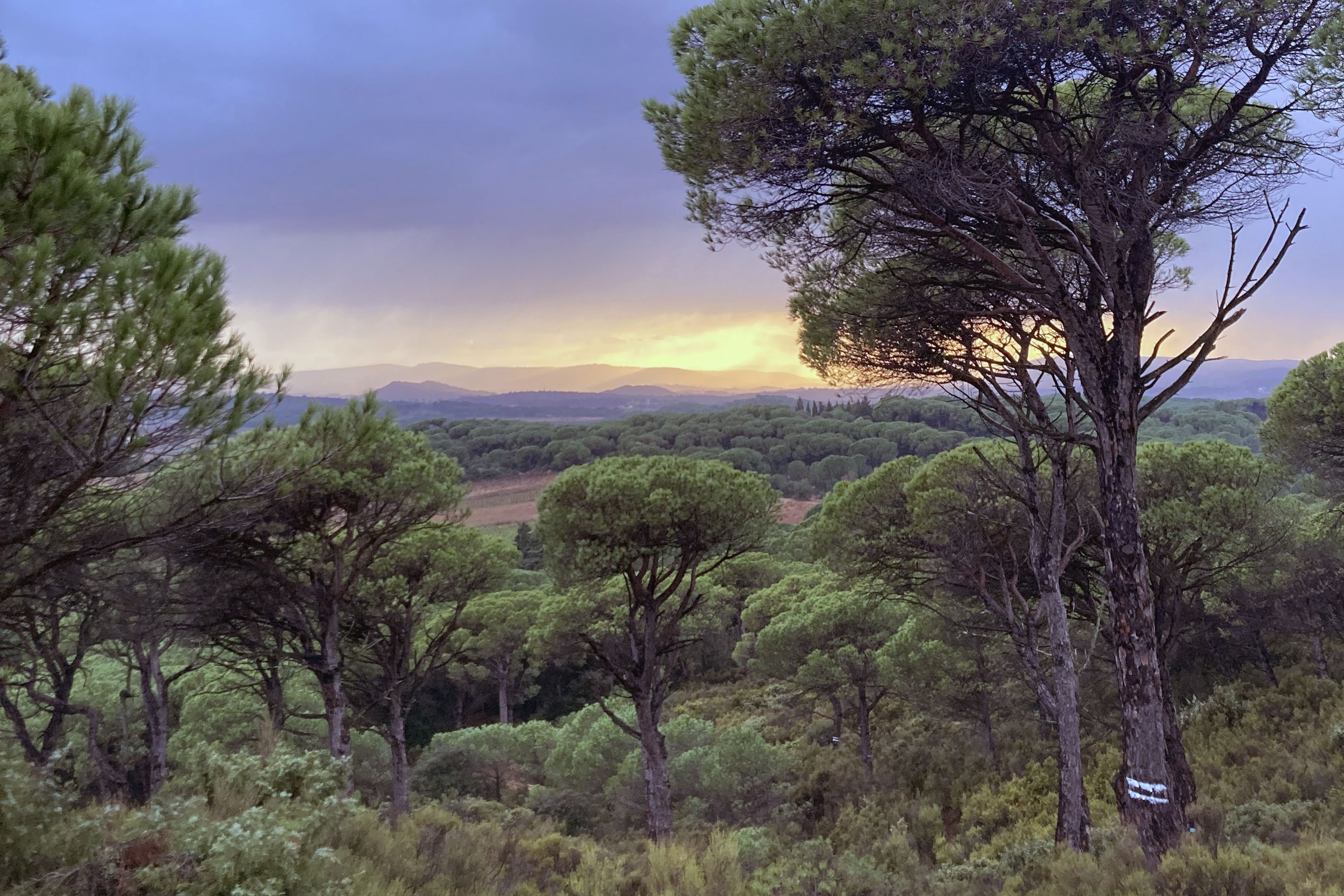 Ushuaïa Villages-Camping Figurotta