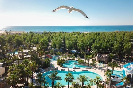 Les Méditerranées - Nouvelle Floride