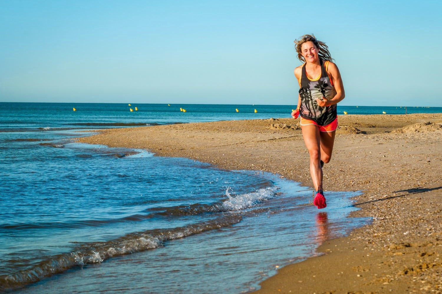 Les Méditerranées - Nouvelle Floride