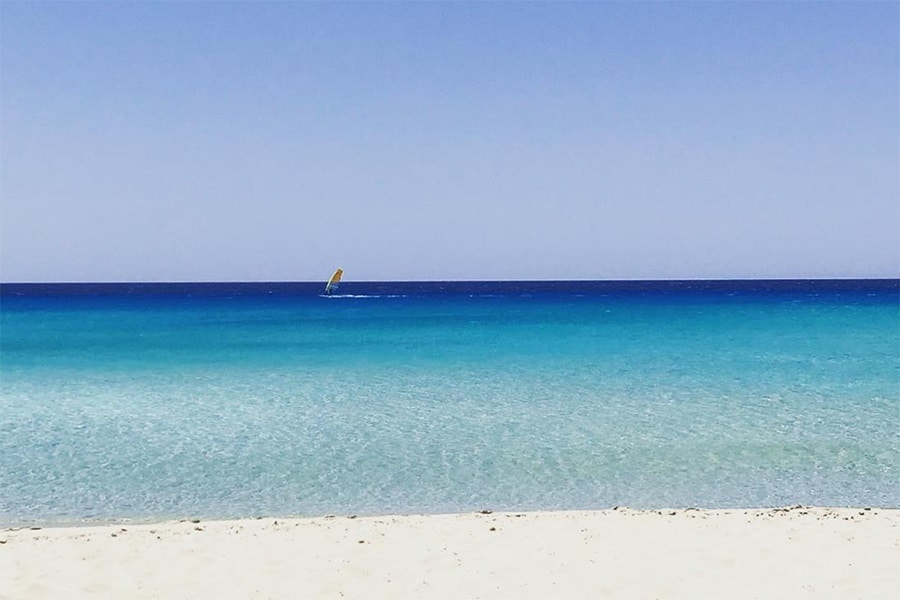 Les Méditerranées - Nouvelle Floride