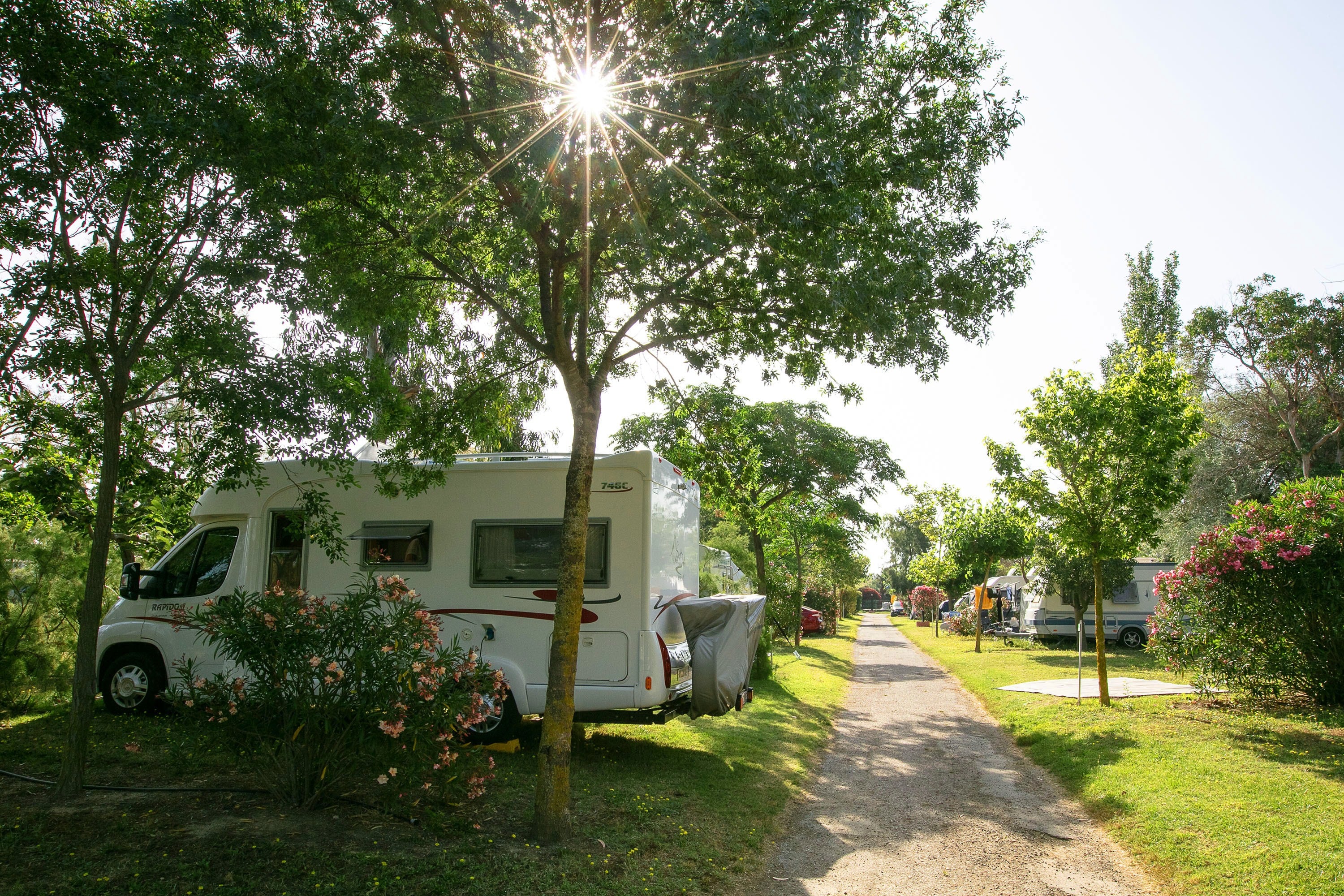 Camping Cala Gogo