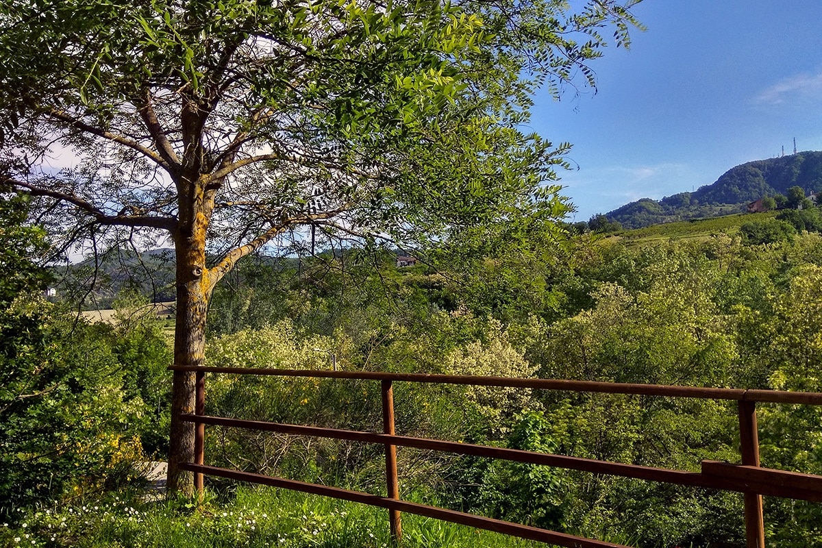 Piccolo Camping E Maieu