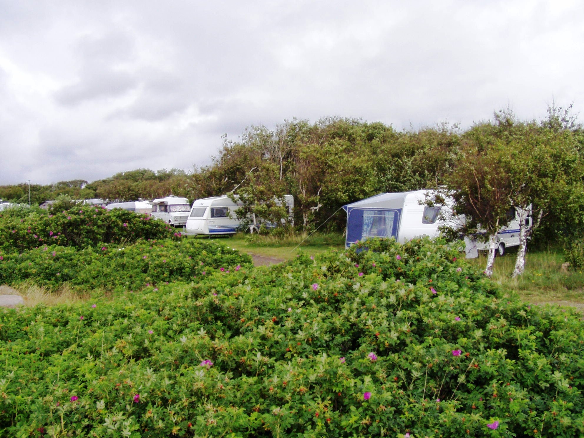 First Camp Torekov-Båstad