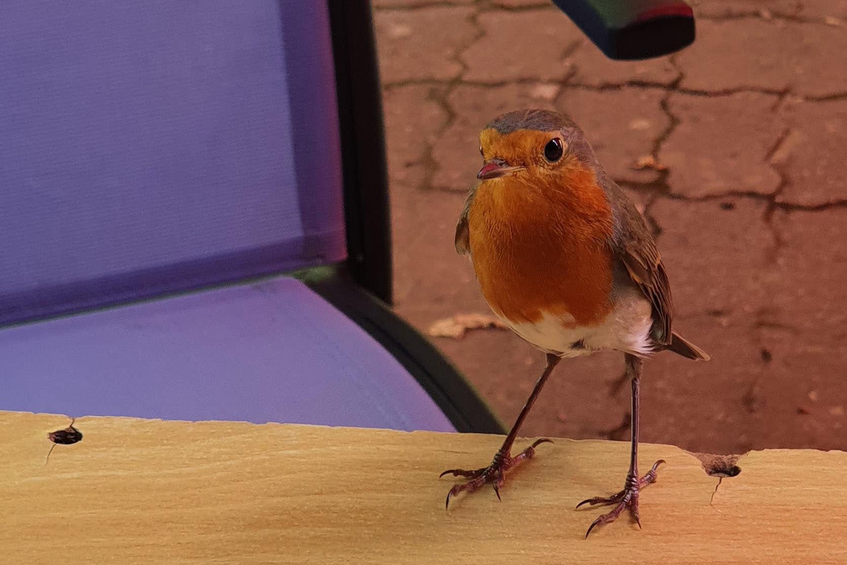 Camping Ruisseau du Treil