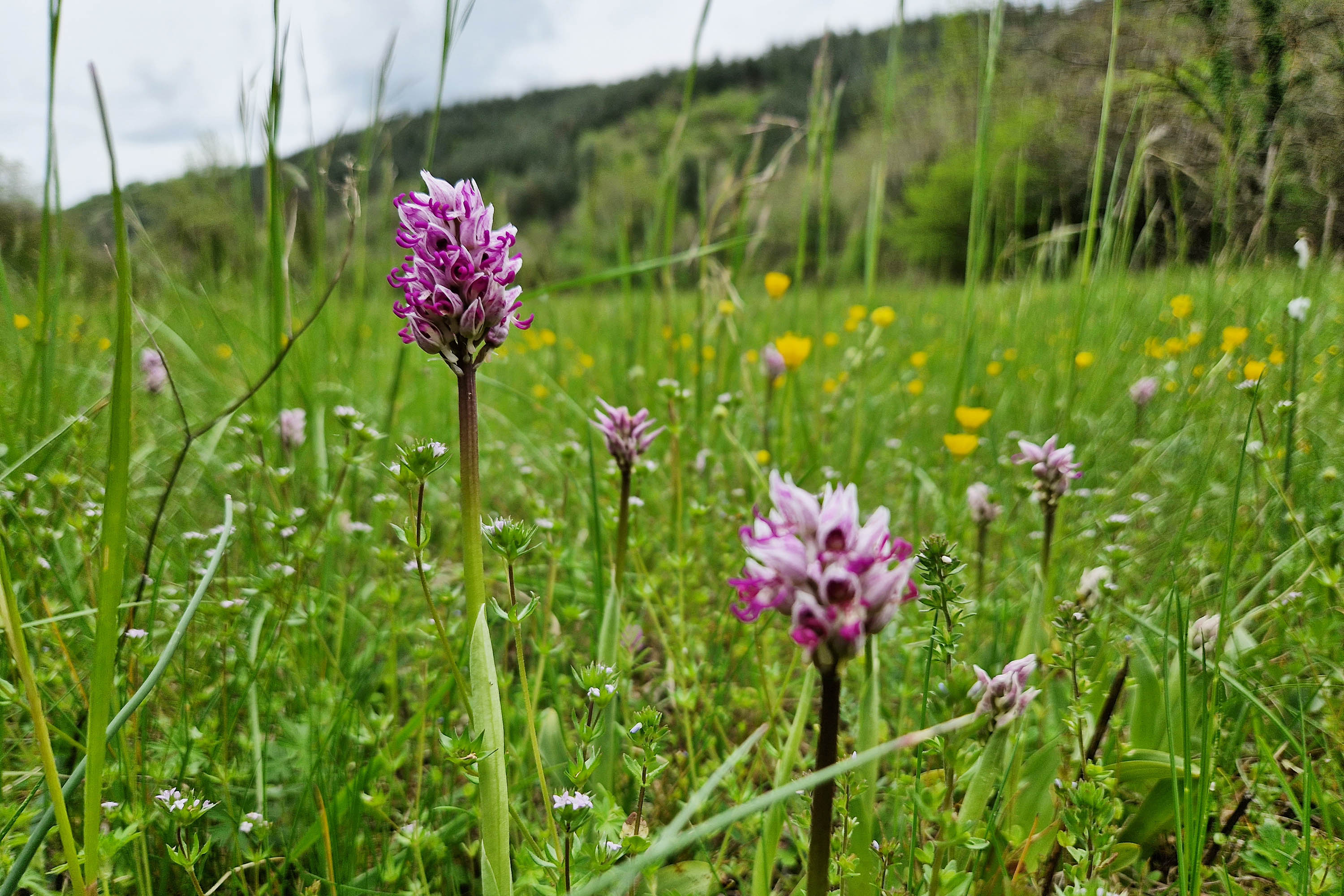 Camping Ruisseau du Treil