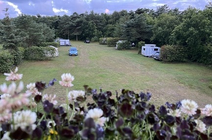 Tipperne Camping