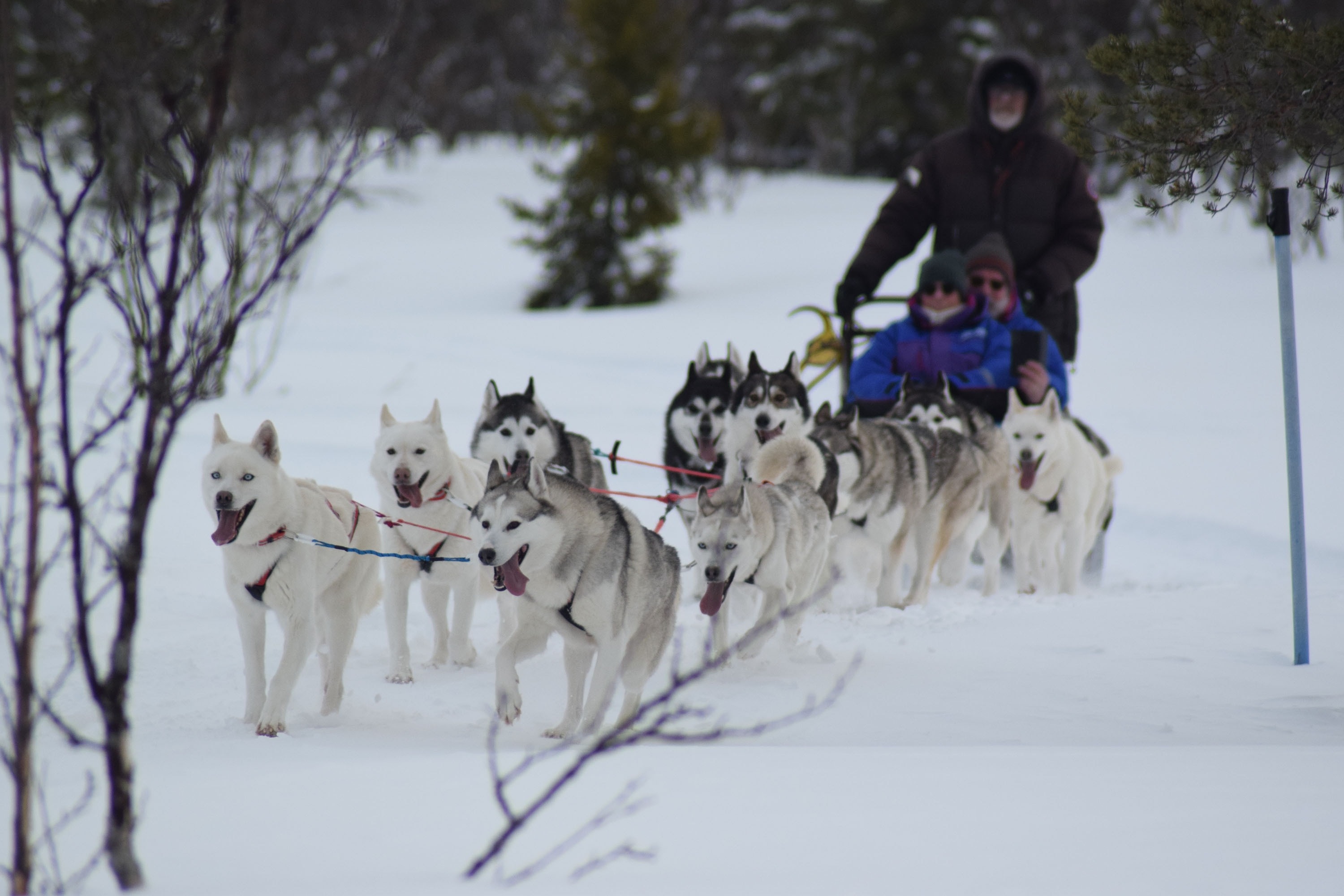Camping Nederhögen Vildmarkscenter