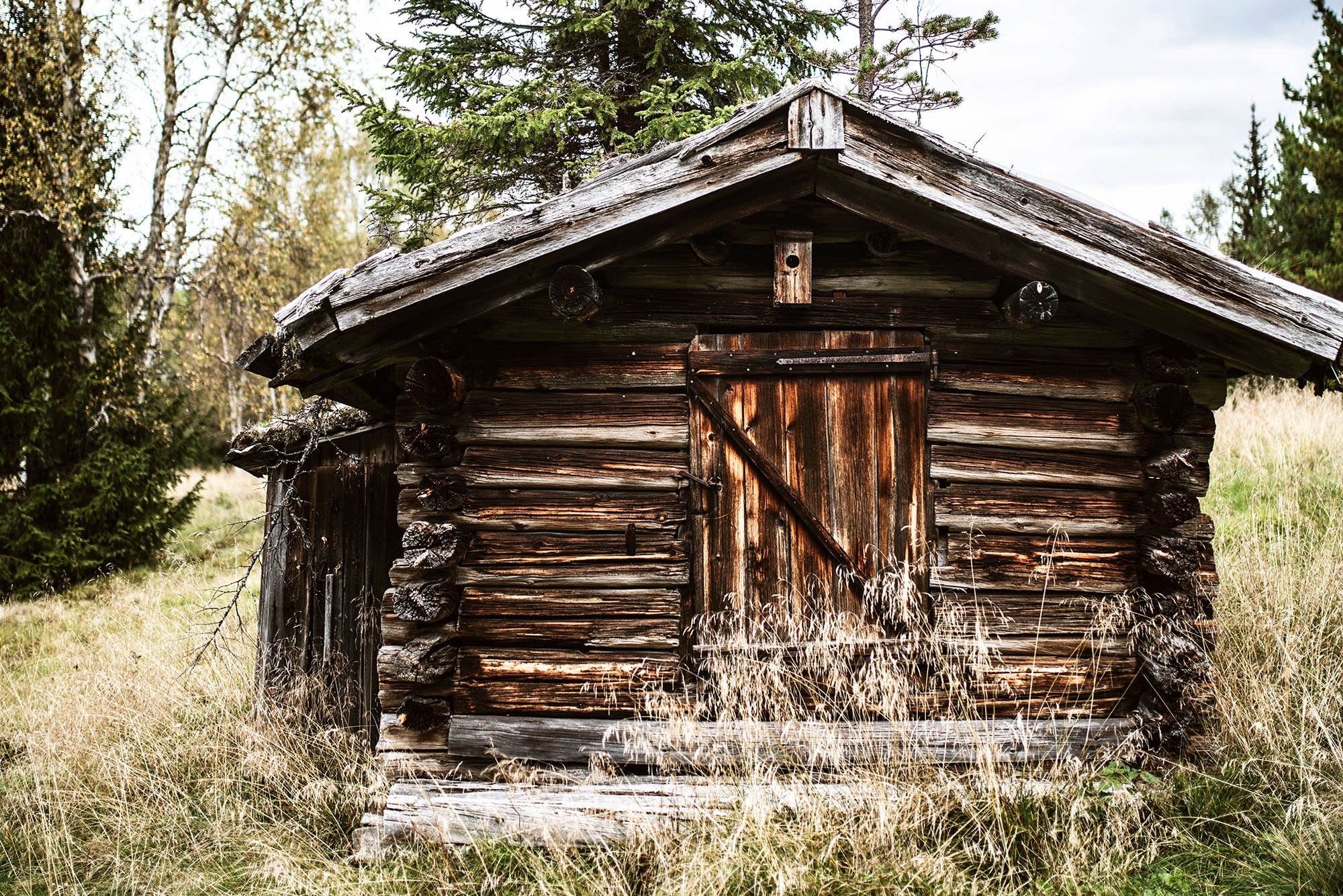 Camping Nederhögen Vildmarkscenter