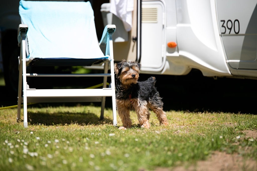 Camping Hohenbusch