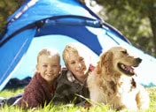 Camping with a dog 