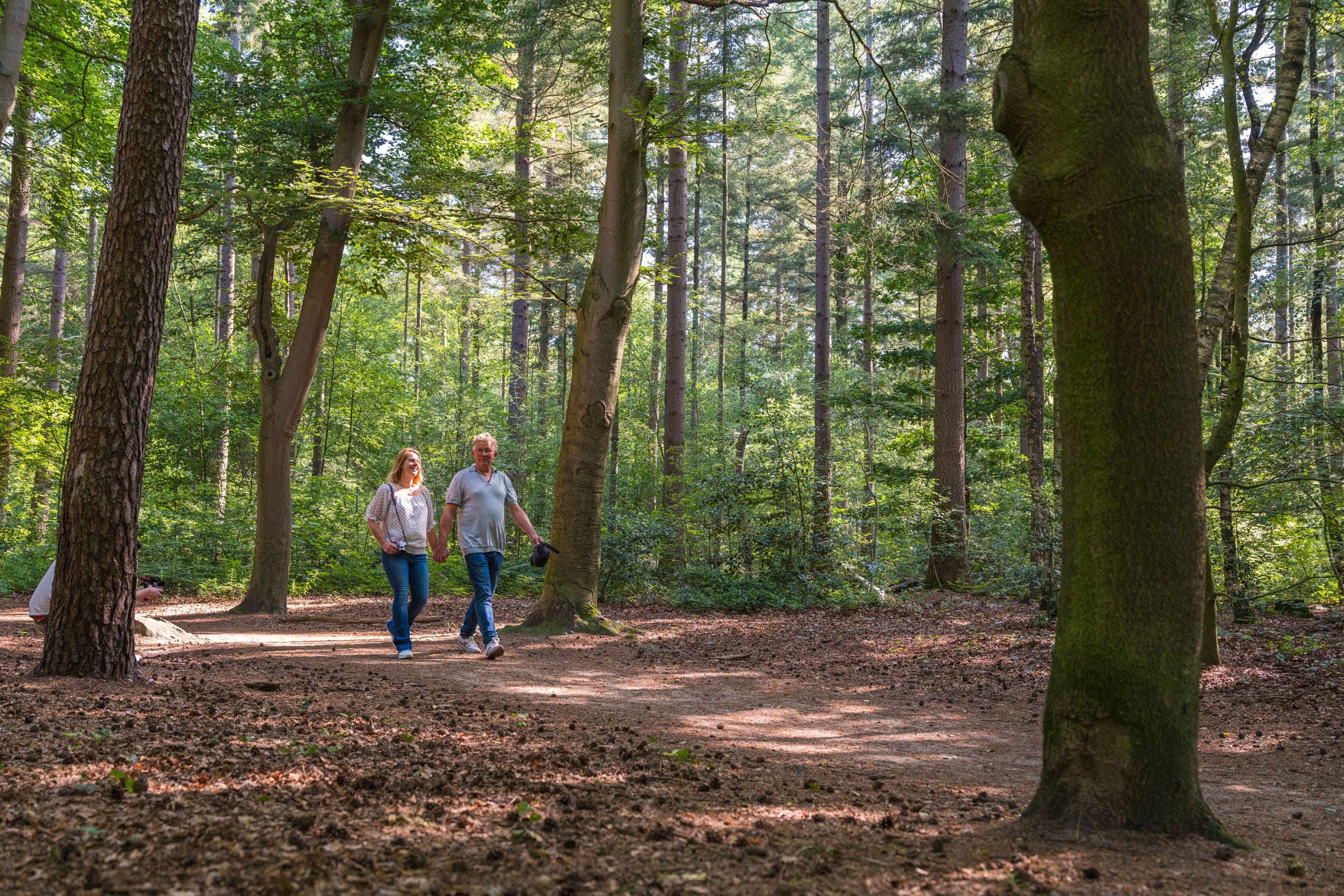 Vakantiepark Ackersate