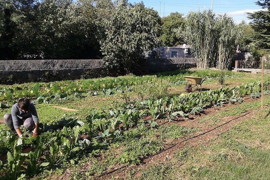 Camping Agrituristico Carso